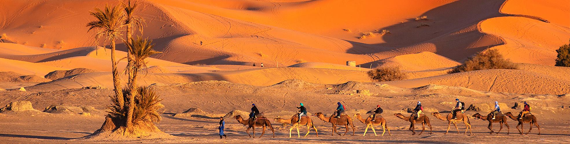 Best Morocco Tours