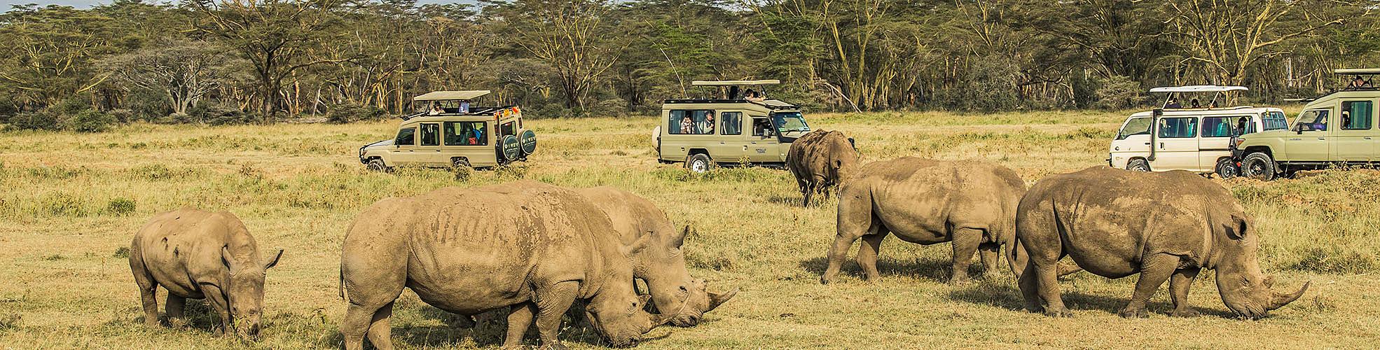 Africa Safaris 2025