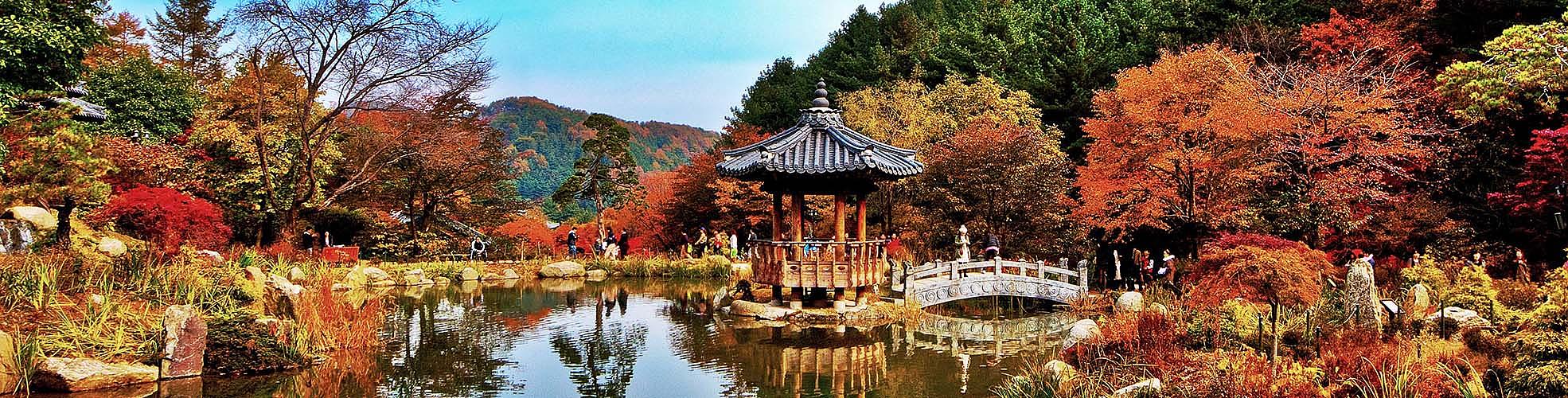 Fall Foliage in South Korea