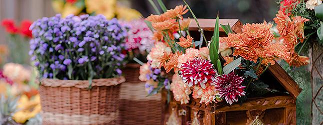 Madeira Flower Festival