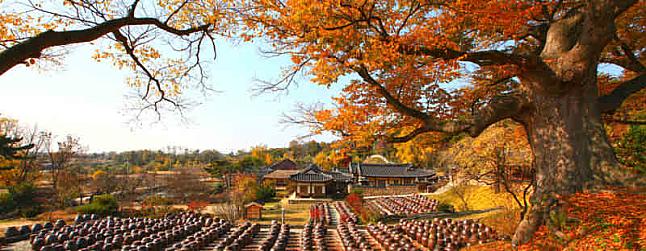South Korea in Autumn