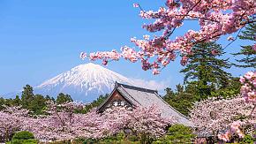 MT. Fuji