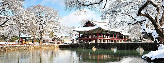 South Korea in Winter