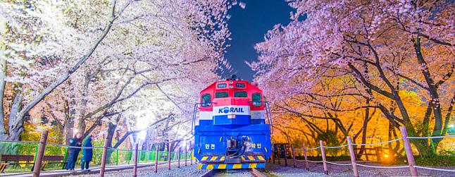 Spring in South Korea