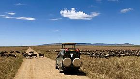 Great Migration