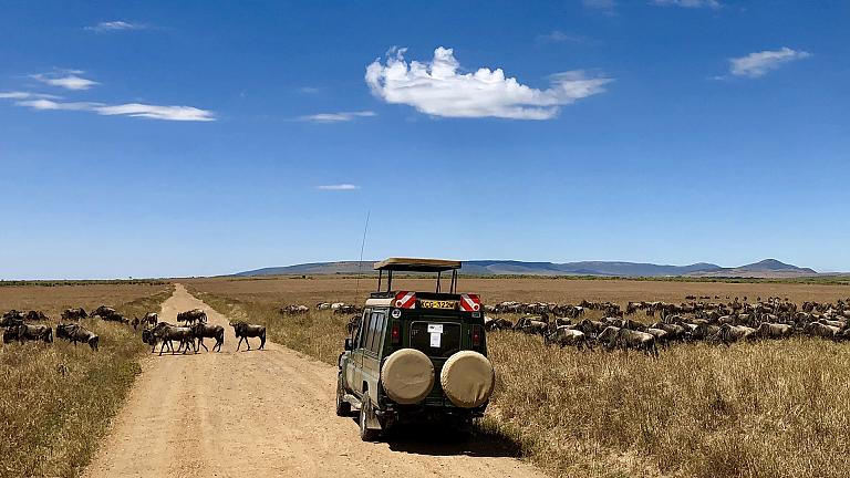 Great Migration