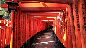 Fushimi Inari Daisha