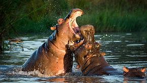 Lake Nakuru National Park