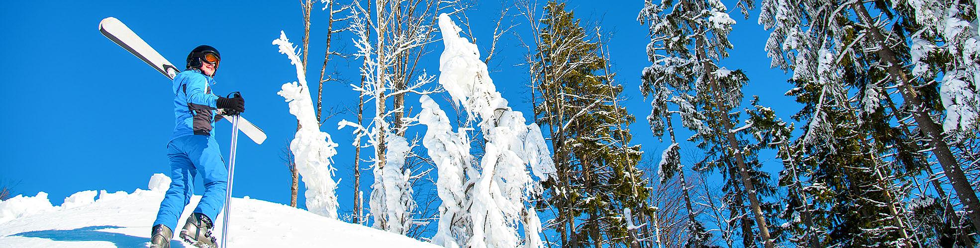 Hokkaido Skiing