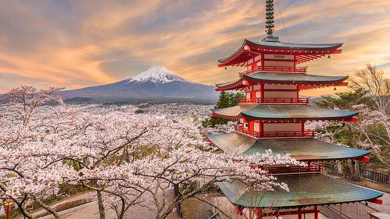 Mt. Fuji