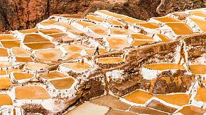 Maras