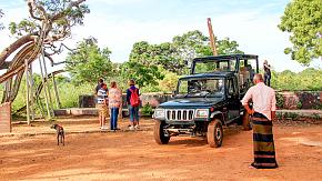 Yala National Park