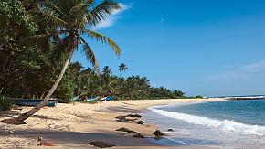 South Coast