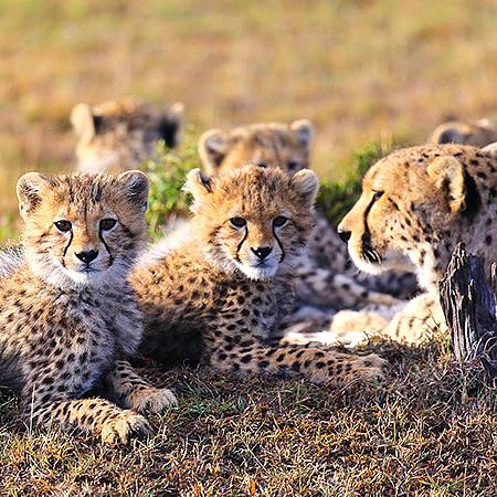 Kenya