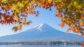 Mt. Fuji