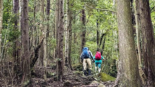 Kumano Kodo Hiking