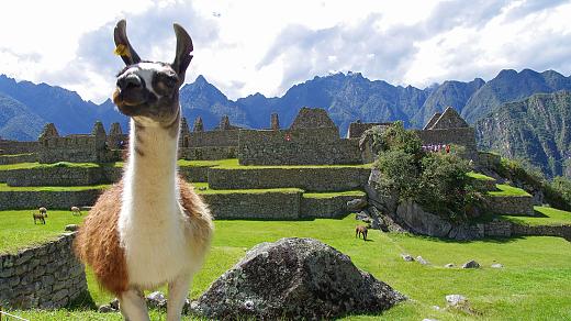 Machu Picchu