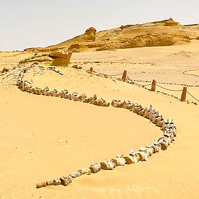 Faiyum Whale Valley