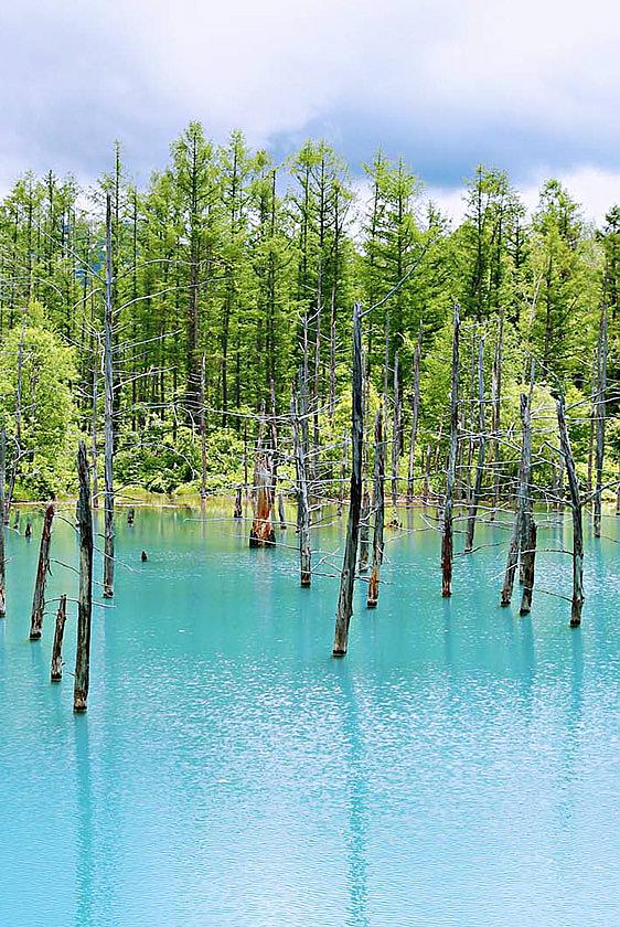 Hokkaido in Summer