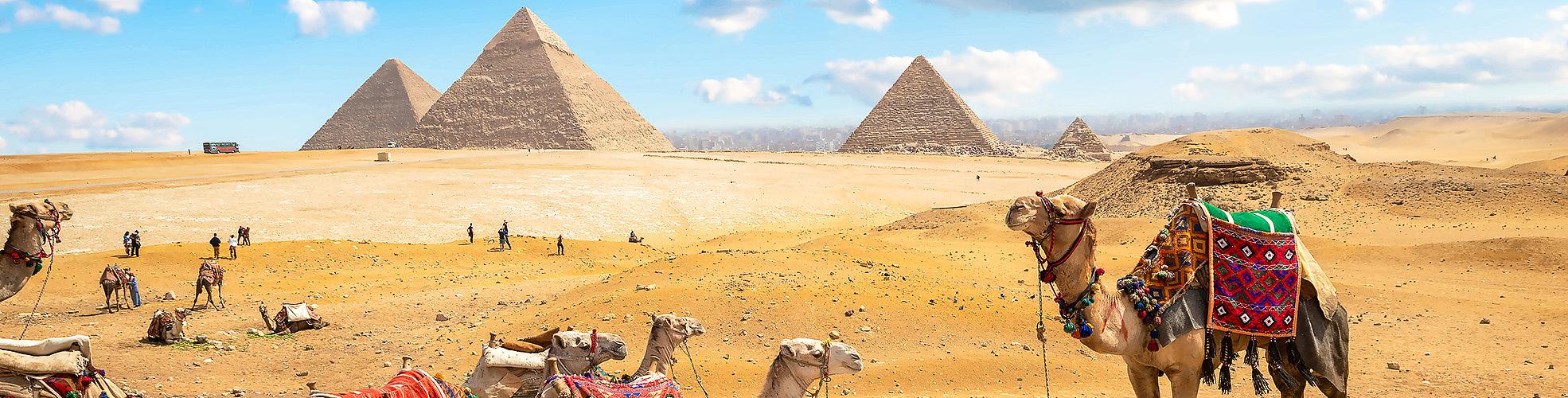 Newsletter Subscribers Giveaway