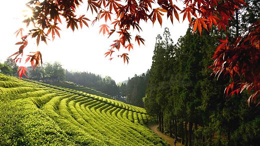 South Korea in September