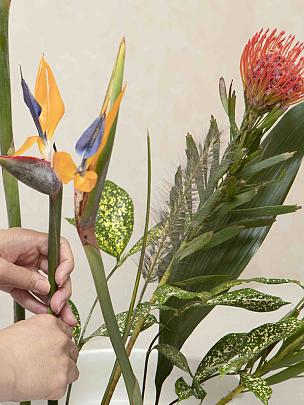 Flower Arrangement, Ikebana