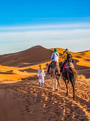 Camel Ride in Sahara Desert