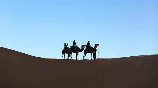 Camel Ride in Sahara Desert