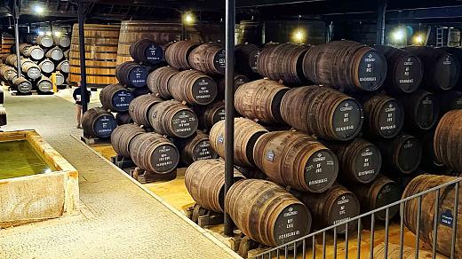 Winery in Porto