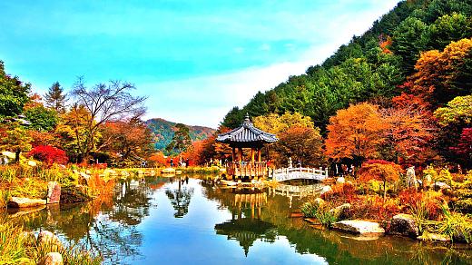 Fall Foliage in South Korea