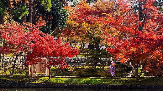 Autumn Leaves Viewing in Japan in November