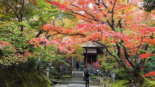 Japón en octubre