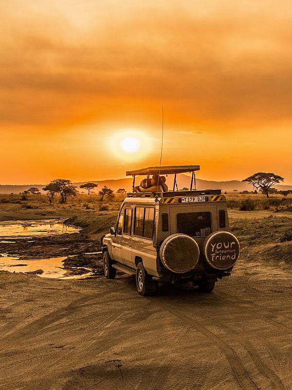 Best Time to Visit Kenya in 2026