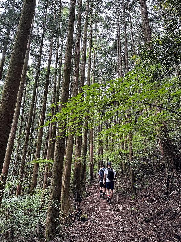 Hiking in Japan
