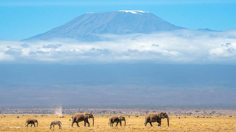 Kilimanjaro