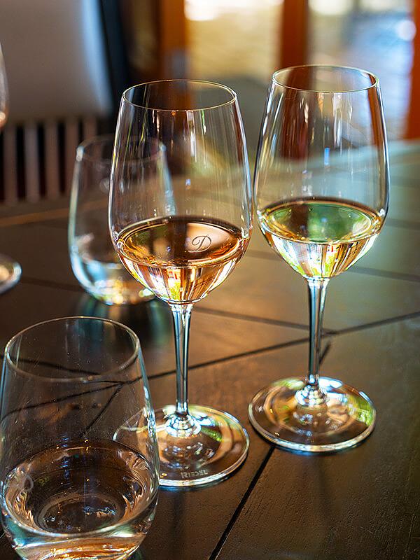 South Africa Wine Tour