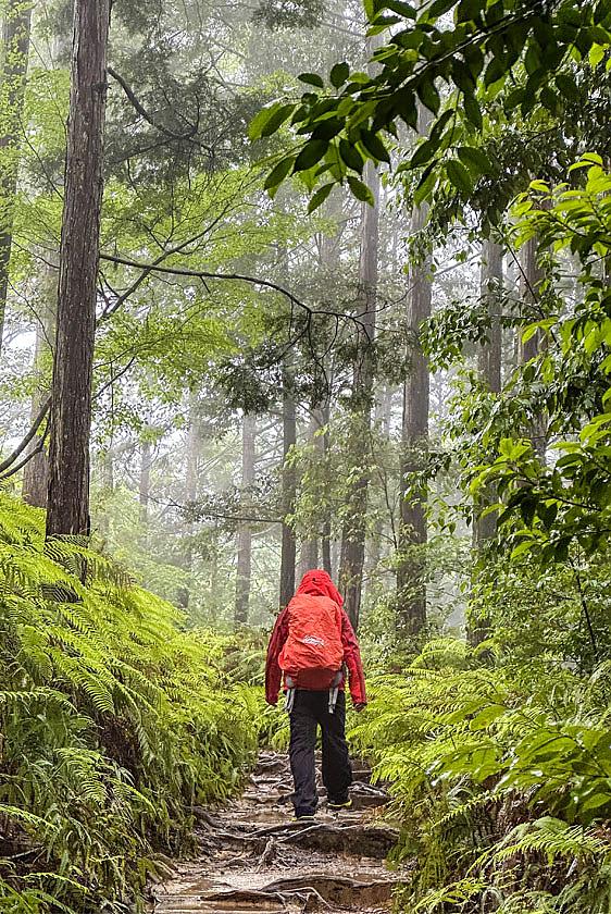 Hiking