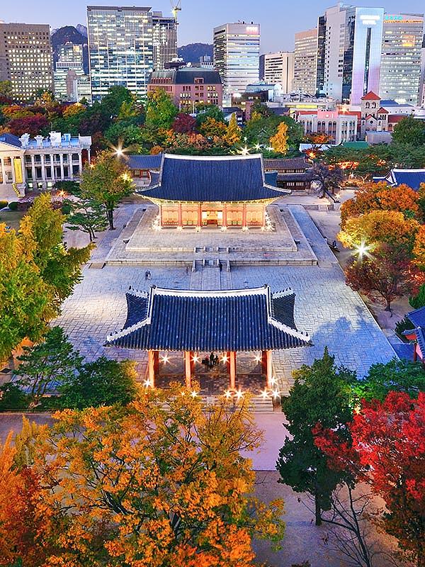South Korea Fall Foliage