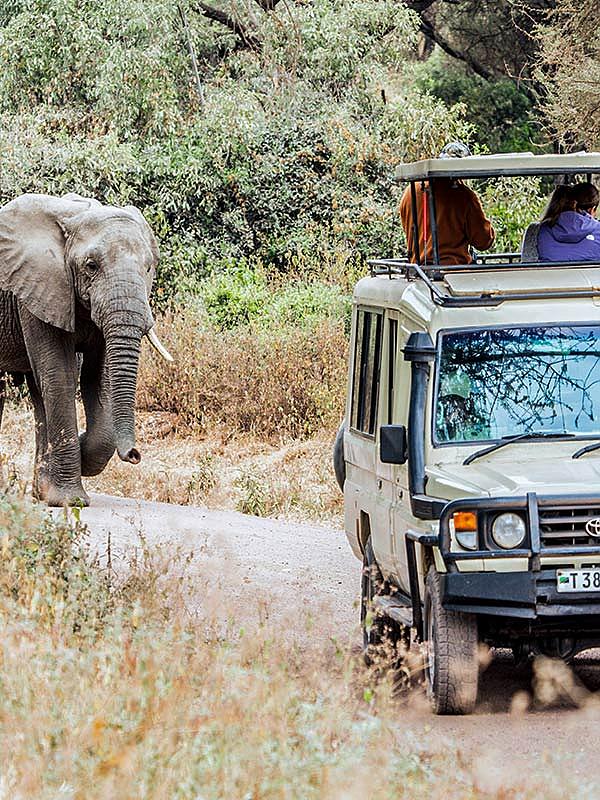 kenya safari for families