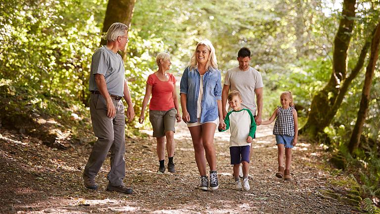 Family Tours