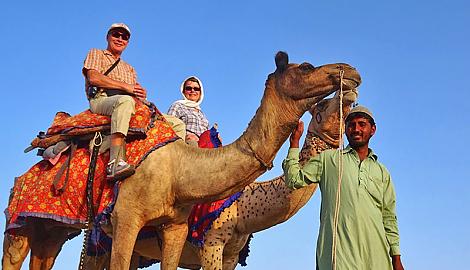Camel riding experience in Morocco