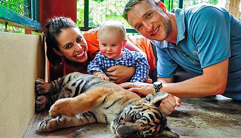 Family tour in Tiger Kingdom of Thailand