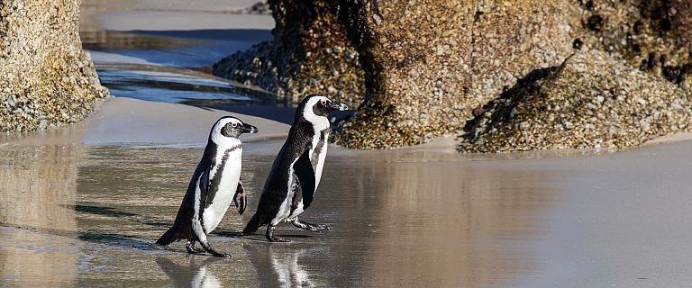 South Africa