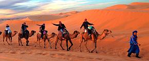 Middle East Tours