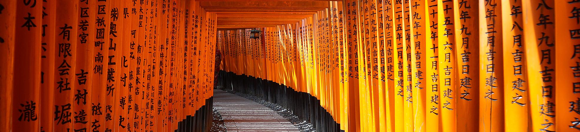Japan Tours