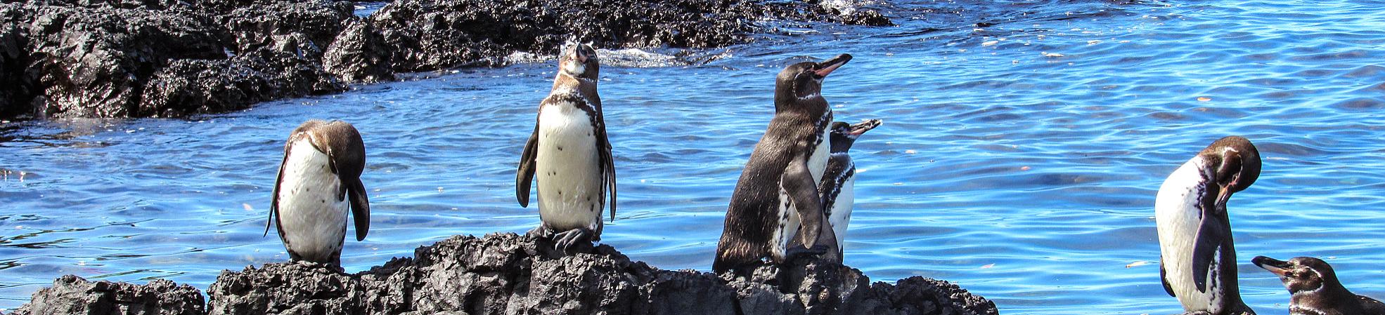 Ecuador Private Tours