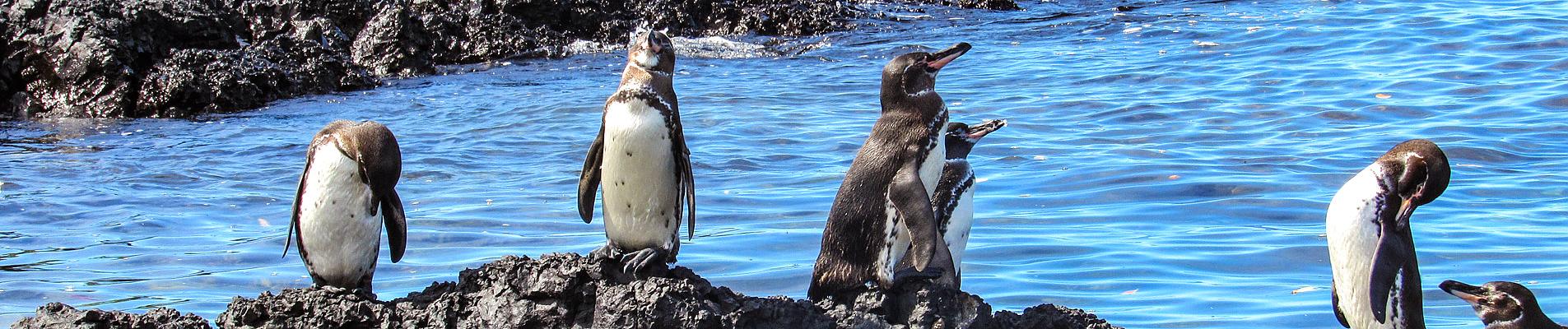 Ecuador Private Tours