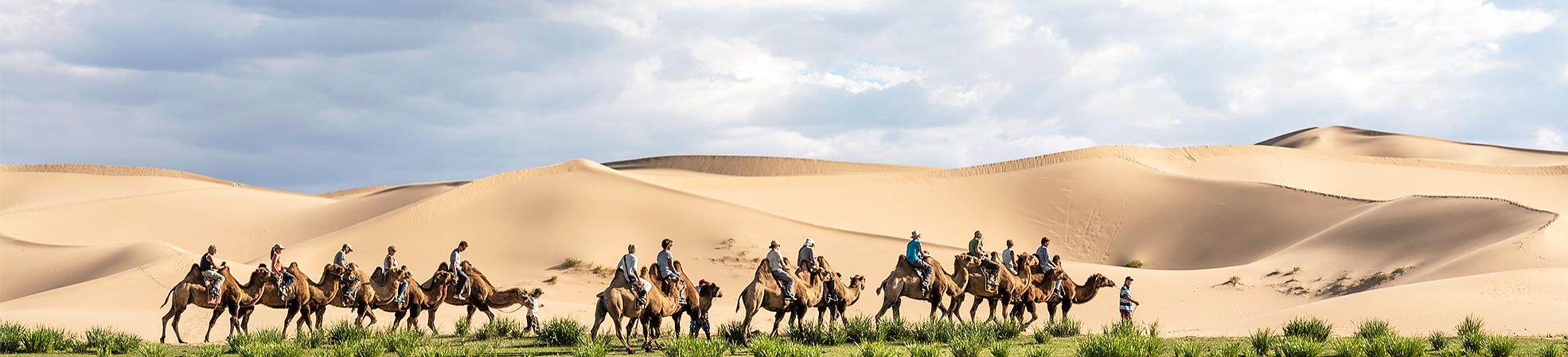 Mongolia Tours