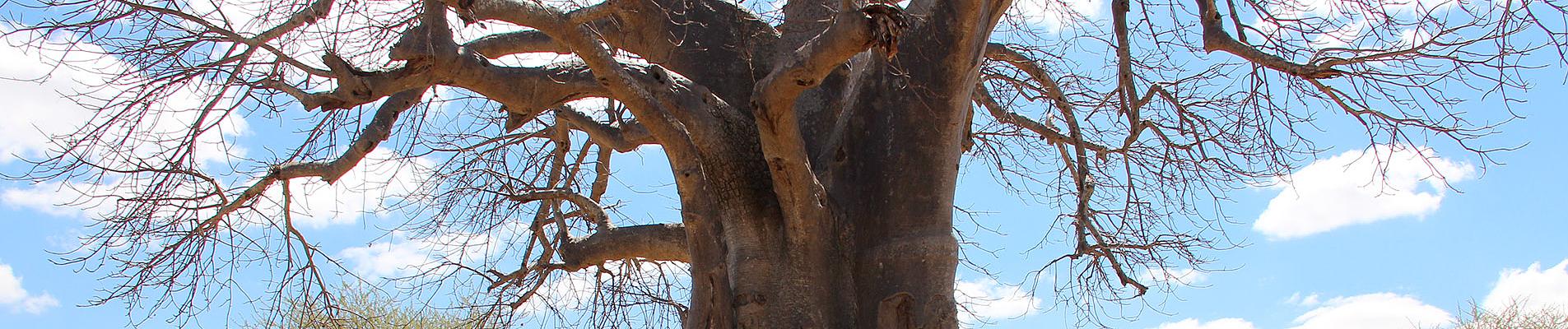 Madagascar Private Tours