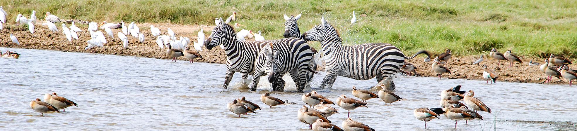 Kenya Private Tours